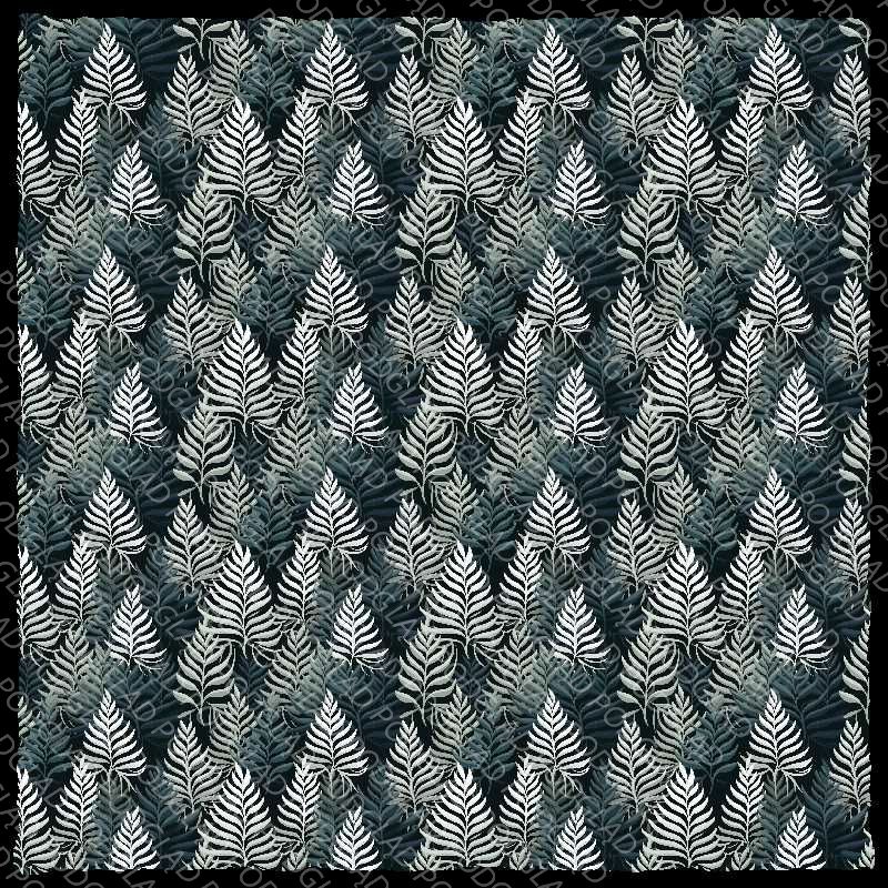 White Spruce